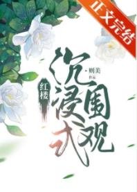 (紅樓同人)紅樓沉浸式圍觀